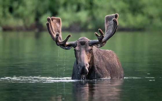 Glacier National Park