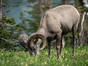 Glacier National Park