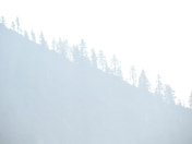 Yosemite National Park