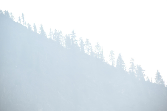 Yosemite National Park