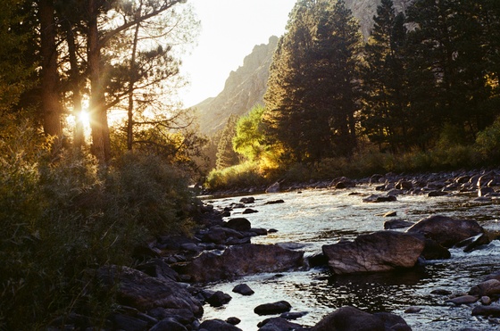 Ansel Watrous Campground, Cache La Poudre River