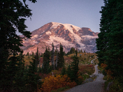 Mt. Rainier National Park