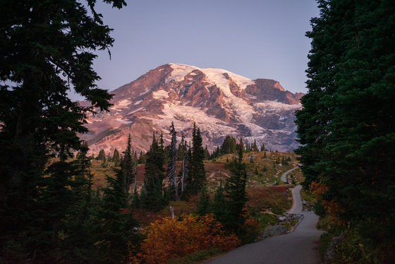 Mt. Rainier National Park