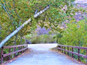 Santa Monica Mountains National Recreation Area 