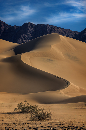 Death Valley National Park