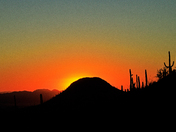 Saguaro National Park