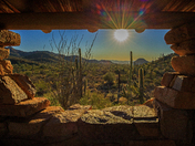 Saguaro National Park
