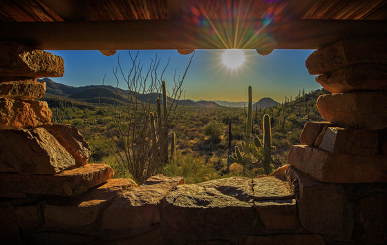 Saguaro National Park