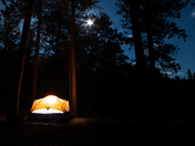 Roosevelt National Forest