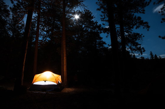 Roosevelt National Forest