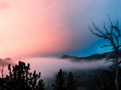 Roosevelt National Forest