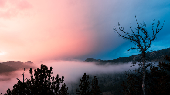 Roosevelt National Forest