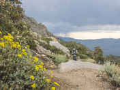 Inyo National Forest
