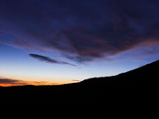Medicine Bow National Forest