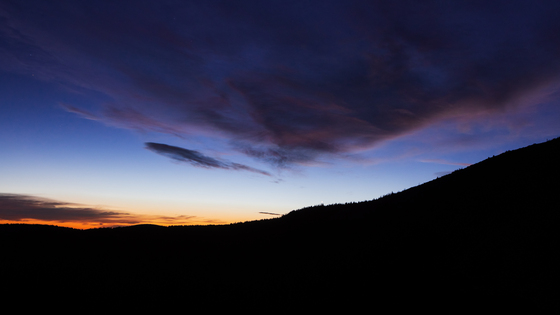 Medicine Bow National Forest
