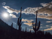 Saguaro National Park West