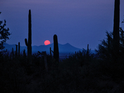 Saguaro National Park West