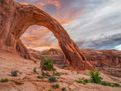 Arches National Park