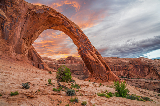 Arches National Park