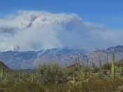 Saguaro National Park West