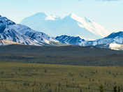 Denali National Park