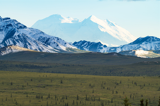 Denali National Park