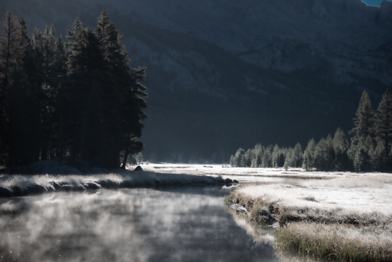 Kings Canyon National Park