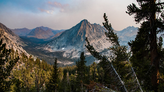 Kings Canyon National Park