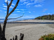 Olympic National Park