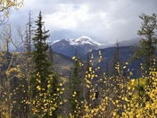 Gunnison National Forest