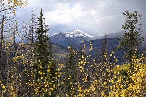 Gunnison National Forest