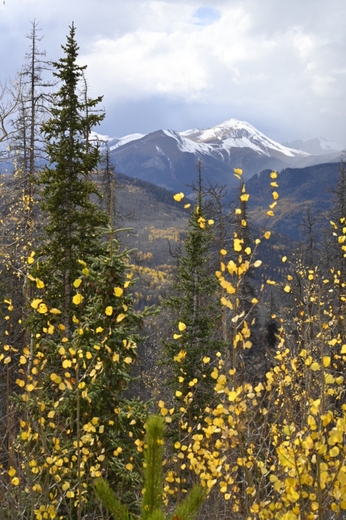 Gunnison National Forest
