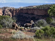 Colorado National Monument