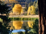 San Juan National Forest