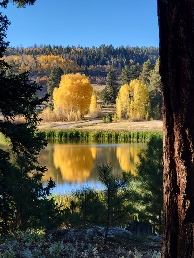 San Juan National Forest