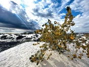 White Sands National Park