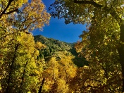 Millcreek Canyon, Utah