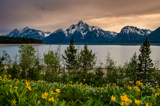 Grand Teton National Park