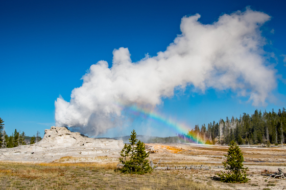 Yellowstone National Park