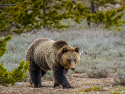 Grand Teton National Park