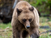 Charlie from The Khutz!