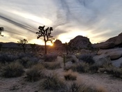 Joshua Tree National Park 