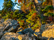 Grand Teton National Park