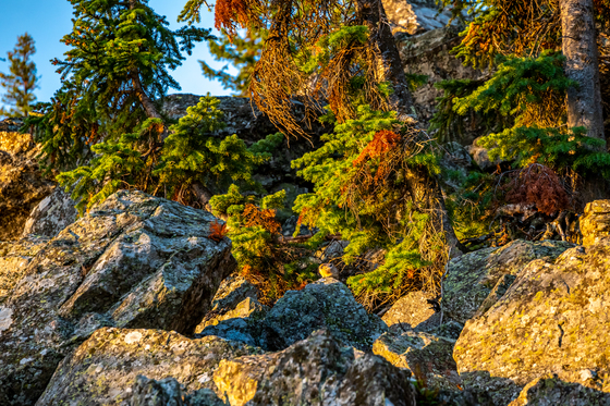 Grand Teton National Park