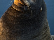 California Coastal National Monument
