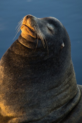 California Coastal National Monument