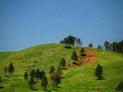 Wind Cave National Park