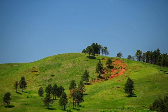 Wind Cave National Park