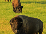 Badlands National Park