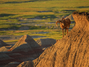 Badlands National Park
